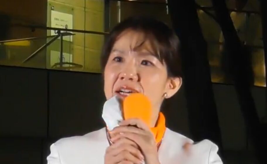 豊田真由子の子供は開成？